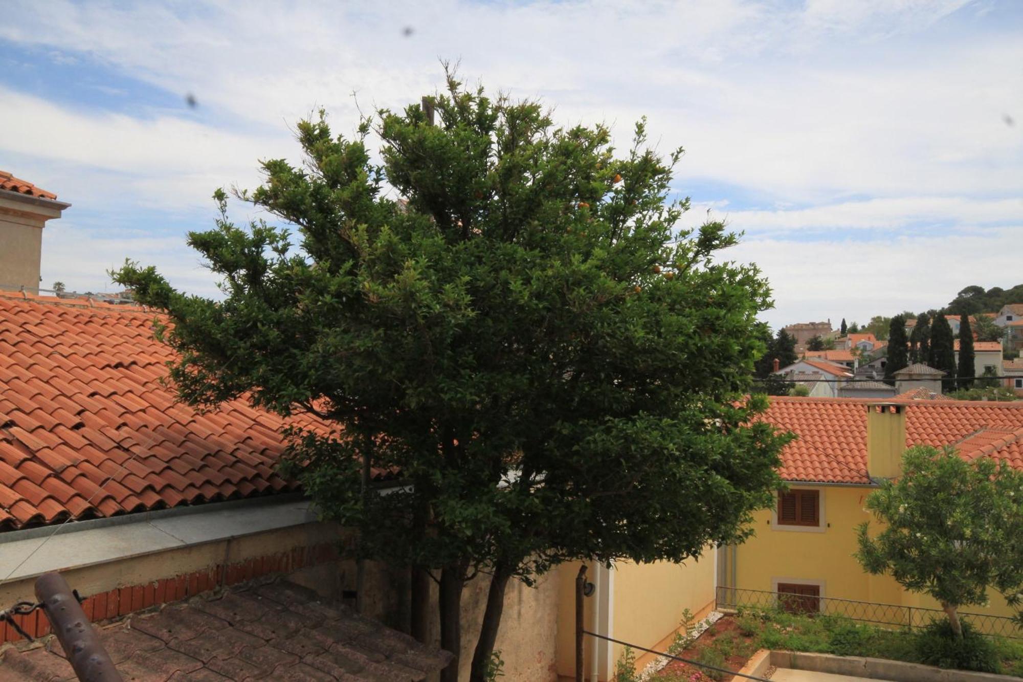 Apartments And Rooms With Parking Space Mali Lošinj Eksteriør bilde